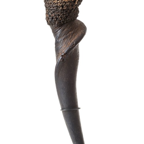 Ritualgefäß. (Medizin). Afrika. Horn und Behälter. H. 58 cm.